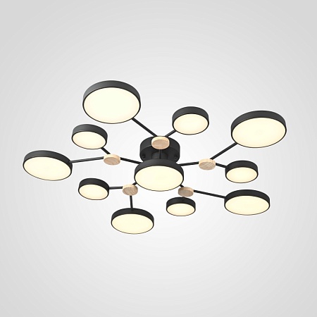 Потолочная Люстра Gamma D102 Black Imperiumloft 223770-23 - фото