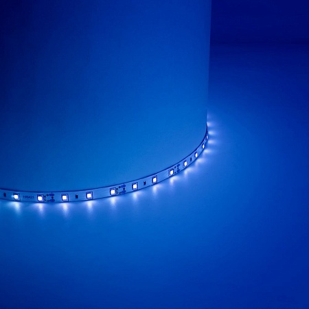 Светодиодная LED лента Feron LS603, 60SMD(2835)/m 4.8W/m 12V 5m синий - фото