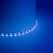 Светодиодная LED лента Feron LS603, 60SMD(2835)/m 4.8W/m 12V 5m синий - фото
