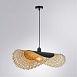 Подвесной светильник Arte Lamp WOODSTOCK A7063SP-1BK - фото