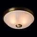 Потолочный светильник MW-Light Ангел 295013402 - фото
