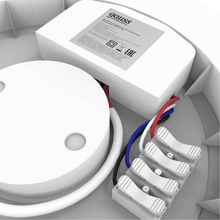 Светильник GAUSS 126411212A_GAUSS - фото