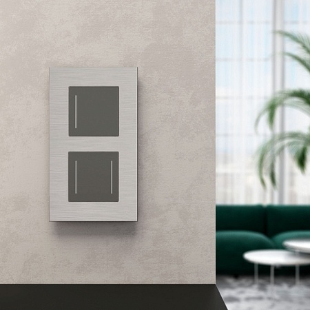 Рамка на 2 поста  AluMax (алюминий) W0023506 - фото