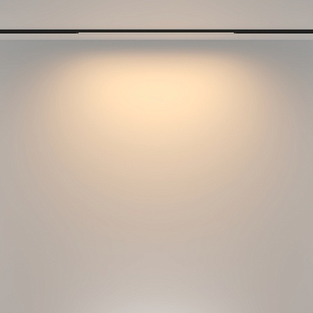 Трековый светильник Technical BASIS TR173-1-16WTW-B - фото