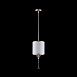 Подвесной светильник Maytoni Fiore H235-11-G - фото