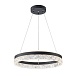Подвесная люстра ARTE LAMP A2549SP-75BK - фото