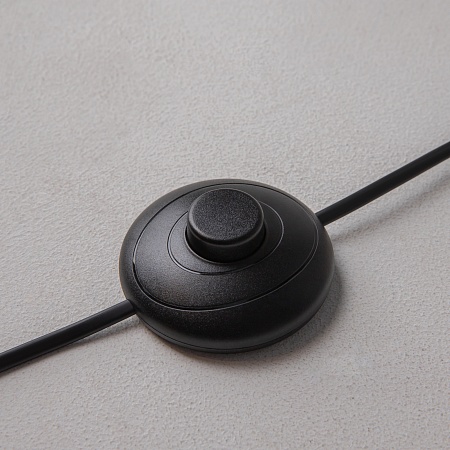 Напольный светильник (торшер) Maytoni Ray Z012FL-L18B3K - фото