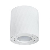 Точечный накладной светильник Arte Lamp FANG A5559PL-1WH