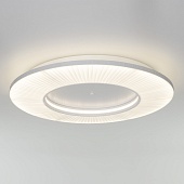 Потолочный светильник Eurosvet 101003 LED