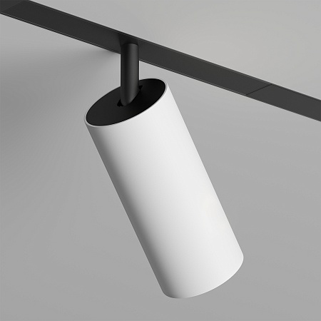 Светильник на шине Denkirs SMART SPOT DK8041-BW+BK - фото