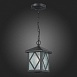 Светильник уличный подвесной ST-Luce Черный/Черный, Прозрачный E27 1*60W SL084.403.01 - фото