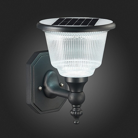 Светильник уличный настенный ST-Luce Черный/Черный, Прозрачный LED 1*2W 3000-6000K SL9502.401.01 - фото