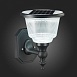 Светильник уличный настенный ST-Luce Черный/Черный, Прозрачный LED 1*2W 3000-6000K SL9502.401.01 - фото