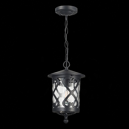 Светильник уличный подвесной ST-Luce Черный/Черный, Прозрачный E27 1*60W SL085.403.01 - фото