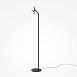 Напольный светильник (торшер) Maytoni MOD451FL-L8B3K - фото