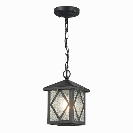 Светильник уличный подвесной ST-Luce Черный/Черный, Прозрачный E27 1*60W SL084.403.01 - фото