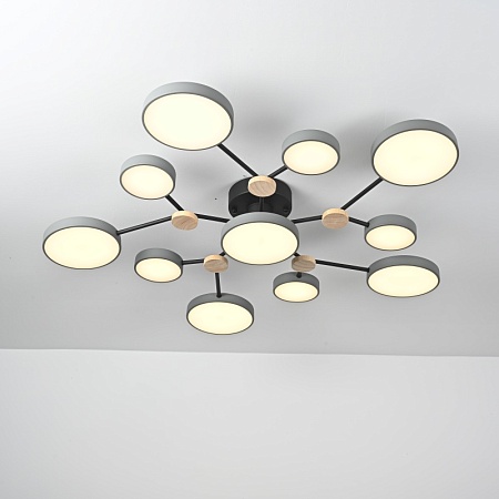 Потолочная Люстра Gamma D102 Grey Imperiumloft 223767-23 - фото