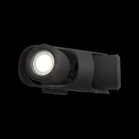 Светильник уличный настенный ST-Luce Черный/Черный, Прозрачный G5,3 2*3W SL093.401.02 - фото