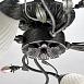 Люстра MW-Light Верона 334013504 - фото