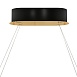 Подвесной светильник Maytoni Castello MOD336PL-L130G3K - фото
