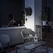 10178 Grey Настенный светильник LOFT IT Gorilla - фото