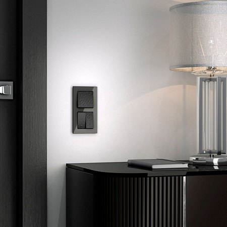 Рамка на 2 поста (черный) W0021108 - фото