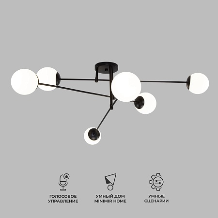 Потолочный светильник Eurosvet 30181/6 черный - фото