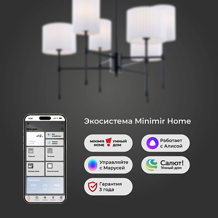 Потолочный светильник Eurosvet 60162/6 черный - фото