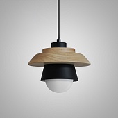 Подвесной Светильник Eco Черный Imperiumloft 101549-26