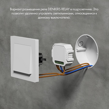 RL1001-SM/1 Одноканальное Wi-Fi реле-выключатель 1 x 2300 Вт / 250 Вт для LED - фото