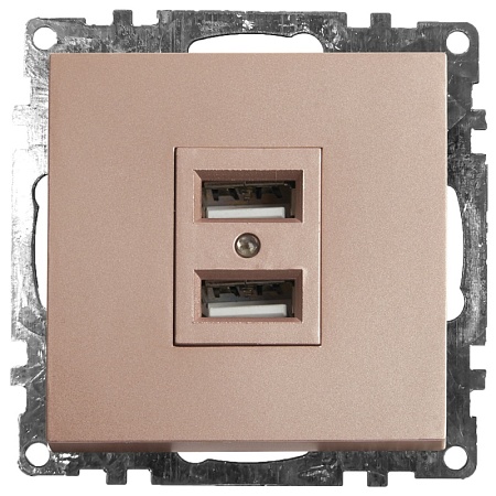 Розетка USB 2-местная (механизм), STEKKER GLS10-7115-02, 250B, 2,1A, серия Катрин, шампань - фото