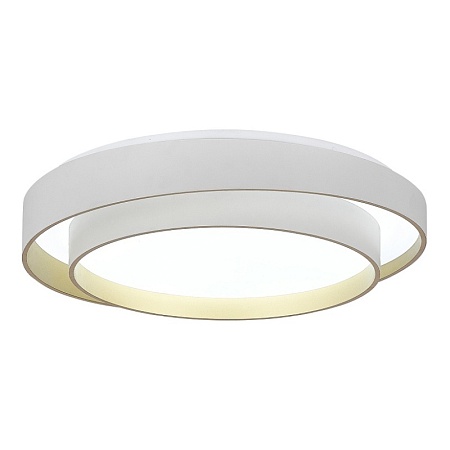 Светильник потолочный Белый/Белый LED 1*50W 3000K/4000K/6000K SLE6009-502-01 - фото