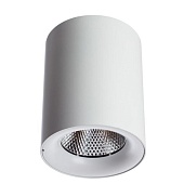 Точечный накладной светильник ARTE LAMP A5118PL-1WH