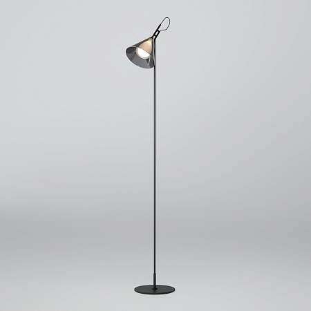 Напольный светильник Eurosvet 01187/1 черный - фото