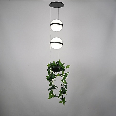 Подвесной Светильник Palma Wall Lamp 2 Шара + 1 Вазон Imperiumloft 168491-22 - фото