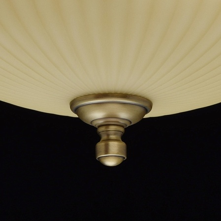 Светильник MW-Light Афродита 317011202 - фото