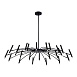 Светильник потолочный ST-Luce Черный/Черный G9 LED 24*5W 4000K SL1214.402.24 - фото