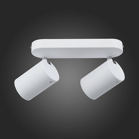 Спот ST-Luce Белый, Хром/Белый GU10 LED 2*7W SL597.501.02 - фото