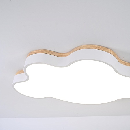 Потолочный Светильник Cloud Eco D83 White Imperiumloft 189502-26 - фото