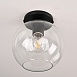 Потолочный Светильник Rh Utilitaire Globe Shade Flushmount Black Imperiumloft 123673-22 - фото