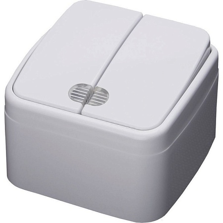 Выключатель 2-клавишный с индикатором STEKKER, PSW10-32-20, открытой установки, 250В, 10А, IP20, серия Basic, белый - фото