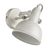 Спот Arte Lamp MARTIN A5213AP-1WG