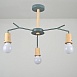 Потолочная Люстра Les Color D72 Grey Imperiumloft 220514-23 - фото
