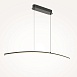 Подвесной светильник Maytoni Curve MOD243PL-L18BK - фото