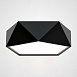 Потолочный Светодиодный Светильник Geometric Black D40 Imperiumloft 101609-26 - фото
