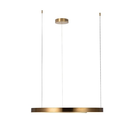 10013L Подвесной светильник LOFT IT Ring - фото