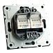 Розетка компьютерная 2-местная RJ-45 (механизм), STEKKER, серия Эмили, RST00-5111-05, черный уголь, soft touch - фото