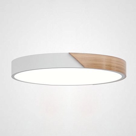 Потолочный Светильник Clip White D40 Imperiumloft 193048-26 - фото