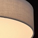 Светильник  дафна MW-Light  453011401 - фото