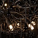 10067/1250 BK Подвесная люстра LOFT IT Bijout - фото